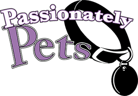 Pet Sitting, Dog Walking  Ballston, Arlington, Falls Church VA